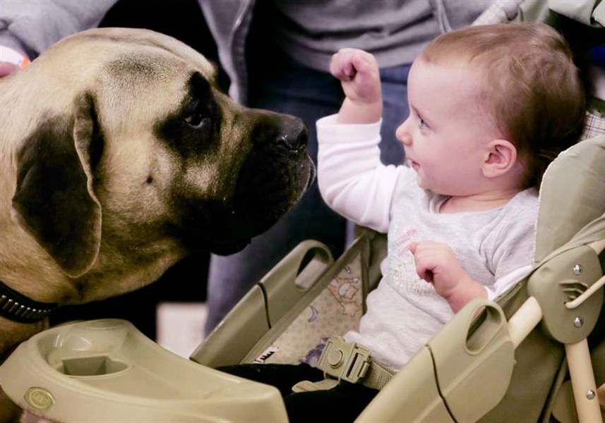 CLOSE-ENCOUNTERS-OF-THE-CANINE-KIND