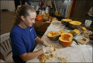 Kattie Miller, a sophomore at Northwest State Community College, removes seeds from test pumpkins at Rupp Seeds Inc. 