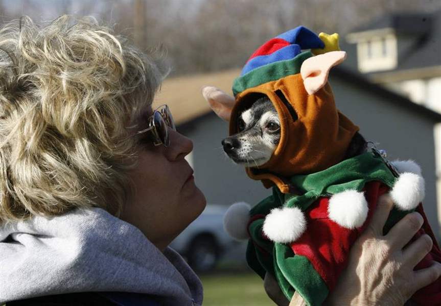 HOLIDAY-HOUNDS-ON-PARADE-IN-IDA-2