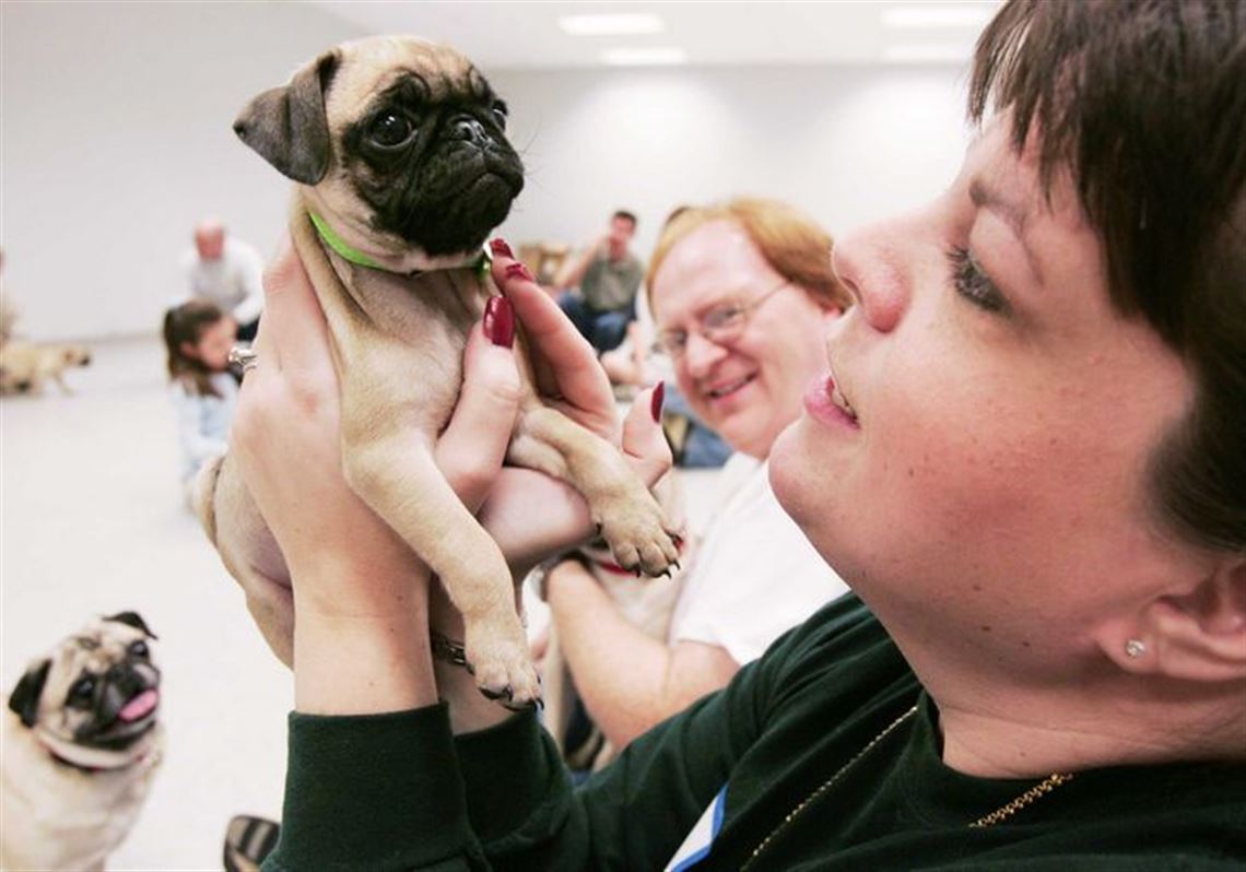 The Blade Toledo S Breaking News Sports And Entertainment Watchdog