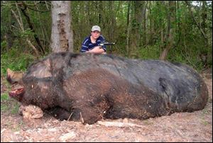Jamison Stone poses with the massive wild boar he killed near Delta, Alabama. The boy's father plans to make sausage.