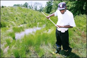 Terrence Autman of the sanitary district looks for mosquito larvae near Start High School. The threat of West Nile disease has increased mosquito control efforts in recent years.
