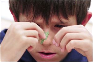 Toth Elementary student Michael Covyaw studies a micro vegtable grown by a Huron, Ohio greenhouse.
