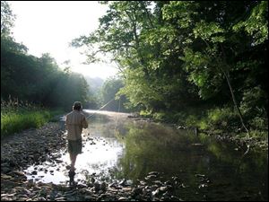 A true fan of fi shing in the small streams, Ohioan Chip Hart of Batavia casts into the rising mists of a summer morning on the East Fork of the Little Miami River hoping for a smallmouth bass.