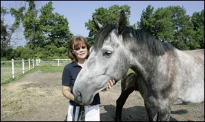 Behind the picturesque fence, rear, Monclova Road Baptist Church hopes to build a new school and athletic complex adjacent to Sherry White's home and horse-breeding farm. 