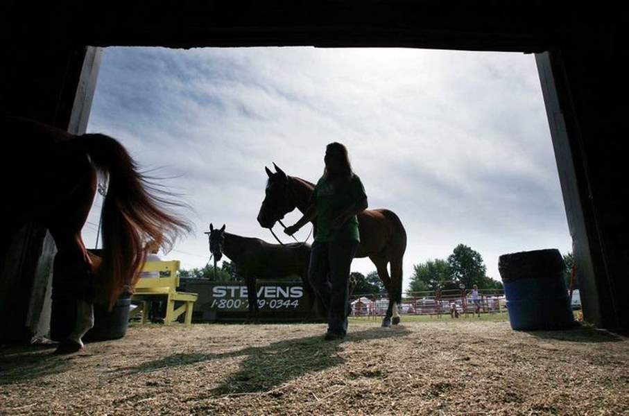 Lucas-County-Fair-opens-for-149th-showing-3