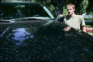 Broc Coleman, 17, of Bolles Harbor, Mich., thought the substance on his grandfather s car was from the trees. 
