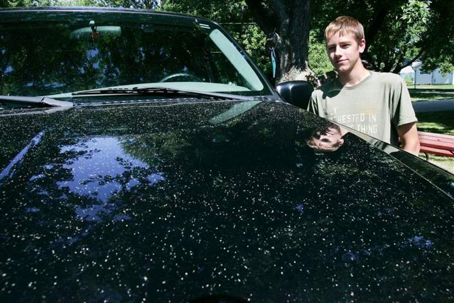 Monroe-County-town-awakens-to-light-dusting-of-odd-powder