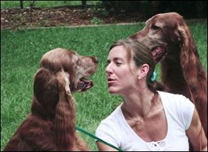 Ms. Callahan with Fizzy, left, and Stout.