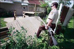 Dog Warden Tom Skeldon, responding to a complaint of a loose dog, cited the owner of two dogs in East Toledo for not licensing them.