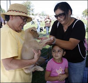 Sylvia Costilla, left, a foster mother with Planned Pethood, shows Perry the pup to Miki Decker and daughter Hannah of Point Place, during the Wiener Dog Nationals event.