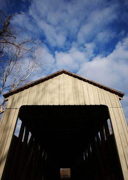 Wooden-spans-can-connect-us-with-the-natural-world