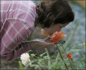 Rachel Beaudoin of Luckey, Ohio, smells a Bronze Star
rose. 