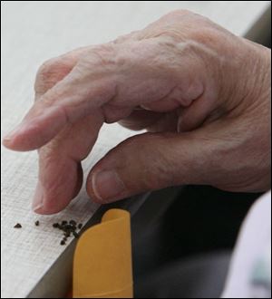 Marilyn Freeman, with the Needle Arts Guild of Toledo, counts and sorts seeds in the Crosby Conference Center to sort and bag seeds in preparation for the annual seed exchange. 