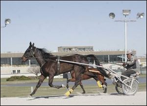 Roy Hunter exercises a horse at Raceway Park. Horse owners say the rise in other forms of gambling has hurt their industry.