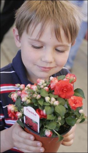 Henry Clark, 5, looks at a plant from one of dozens of vendors at Flower Day Weekend. Amy Riese of Toledo has her hands full after checking out the vendors at the event near the Erie Street Market.