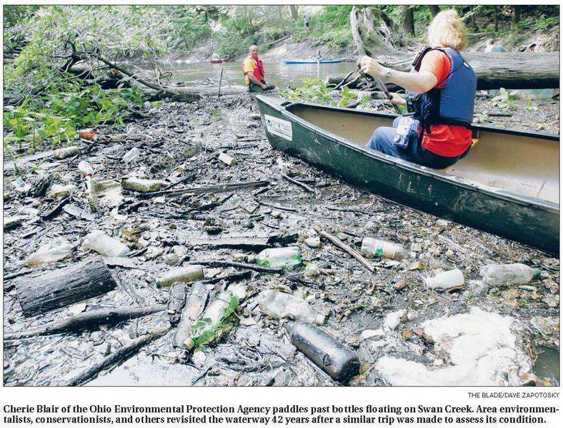 Swan-Creek-at-times-more-ugly-duckling