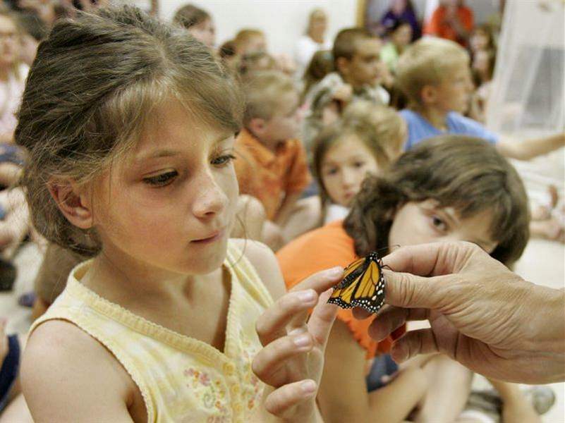FLOAT-LIKE-A-BUTTERFLY-LEARN-AT-THE-DUNDEE-LIBRARY-2
