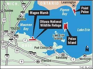 With hot spots such as Ottawa National Wildlife Refuge and Pelee Island, birding is becoming a big business along Lake Erie.