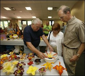 nbrsdaylilyp    7/13/2008        The Blade/Herral Long   Jack Church of weston oh who has over 900 varieties of day lilys shows Barbara and David Milanowski  of holland his  huge - foot actoss daylilly     You Ever Wanted to Know About Daylilies? is the theme of the  Daylily Expo that the Black Swamp Hosta and Daylily Society will host on  Sunday, July 13th. The expo will be held in the Terrace Room at the  Conference Center of Toledo Botanical Garden, 5403 Elmer Drive,  beginning at 1 PM. It is free and open to the public. Lots of daylilies  will be on exhibit, plus special demos and programs will be presented  during the afternoon until 4 PM. A floral arranging demo using daylilies  will be given by Pat Anthanitis, Fran Houghtlen will present a program  entitled ?More Than a Pretty Face?, and learn how to divide a daylily  clump. You can tour the national daylily display garden, sample daylily  soup and daylily salad, see the ?privy? daylily exhibit and exhibits on  daylily hybridizers, and talk to members of the Black Swamp Hosta and  Daylily Society who will be on hand to answer your questions. If you  need more information, please call Joyce at 419-841-3905.
