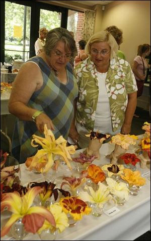 nbrsdaylilyp    7/13/2008        The Blade/Herral Long   Chris Keast-Doty  of  Maumee looks at her daughters Shelly Abramczyk (of holland )  dayliliy flower display    You Ever Wanted to Know About Daylilies? is the theme of the  Daylily Expo that the Black Swamp Hosta and Daylily Society will host on  Sunday, July 13th. The expo will be held in the Terrace Room at the  Conference Center of Toledo Botanical Garden, 5403 Elmer Drive,  beginning at 1 PM. It is free and open to the public. Lots of daylilies  will be on exhibit, plus special demos and programs will be presented  during the afternoon until 4 PM. A floral arranging demo using daylilies  will be given by Pat Anthanitis, Fran Houghtlen will present a program  entitled ?More Than a Pretty Face?, and learn how to divide a daylily  clump. You can tour the national daylily display garden, sample daylily  soup and daylily salad, see the ?privy? daylily exhibit and exhibits on  daylily hybridizers, and talk to members of the Black Swamp Hosta and  Daylily Society who will be on hand to answer your questions. If you  need more information, please call Joyce at 419-841-3905.