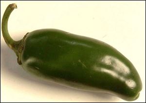 Officials don't know whether the pepper was contaminated in Mexico, Texas, or elsewhere. FROM THE BLADE'S NEWS SERVICES