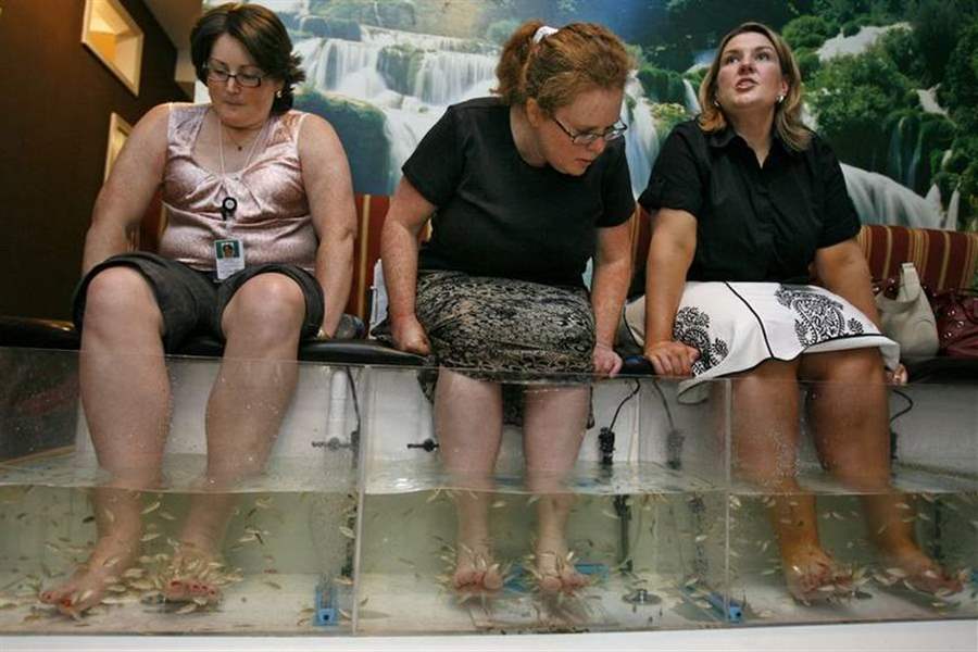 Spa-goers-smooth-with-the-fish