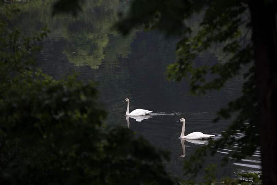 Visitors-rediscover-Lenawee-County-botanical-park-2