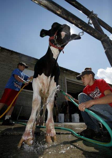 FUN-AT-THE-LENAWEE-COUNTY-FAIR-2