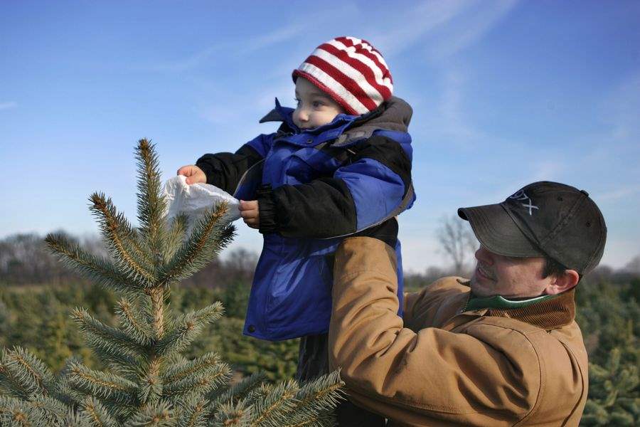 EVERGREEN-FARM-IN-IDA-CELEBRATES-YULE-SEASON-2