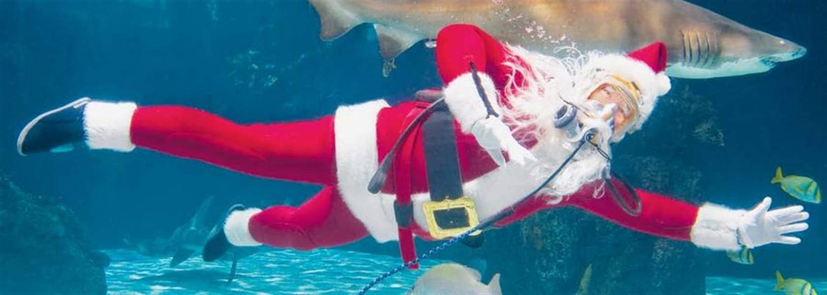 Greater-Cincinnati-Holiday-attractions-beckon-families