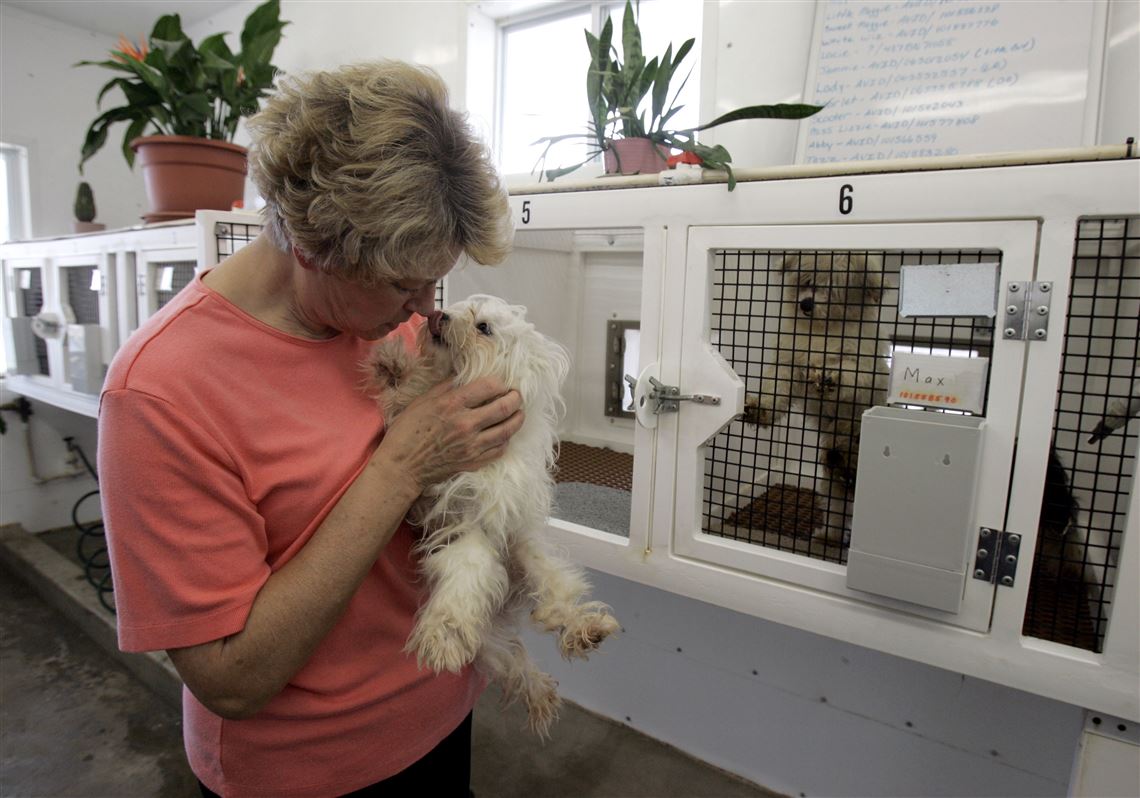 Are Puppy Mills Illegal In Missouri