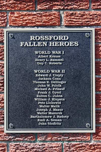 Scout-s-work-salutes-fallen-warriors-2