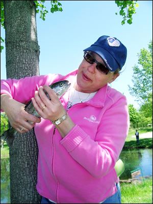 Patti Schebil of LaSalle, Mich., takes a good look at her
first trout taken on a flyrod.