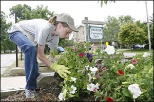 Abby Schweitzer, 12, says she brings experience from working in the garden at home to her job planting flowers with the Sylvania Youth Conservation Corps in many public places in the city. 