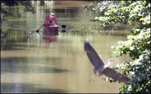 Sarah and Howard Abts meet up with a Swan Creek resident on the first leg of a 10-mile trip with other canoeists Monday. The city has increased its efforts to clean up the creek in the last year. 