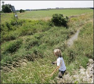 Cindy Koepfer walks through the field in Clay Township, sometimes getting close enough to hear the dog s collar jingle. She worries that the dog is wearing out.