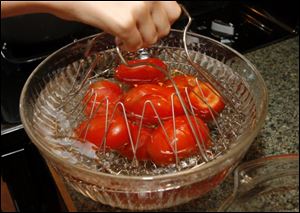 Blanched tomatoes are placed in cold water before
being peeled.