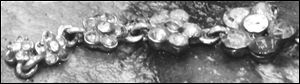 This belly button piercing with a small chain was found on the woman's body found in the water near Oak Harbor.