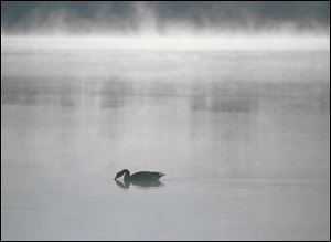 Cold air and the warmer water of the Maumee River create a scenic mist at the public dock in Walbridge Park in South Toledo.