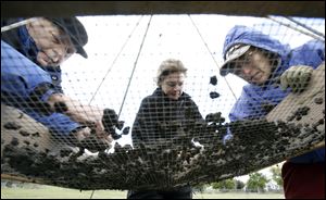 Andy Arnoldy, left, Allison Hoff, and Laurel Heyman sift through excavated soil near the River Raisin battlefield in Monroe. 