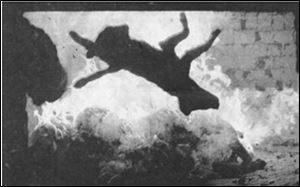 Nearly 80 percent of the dogs taken to the county pound are quickly euthanized and incinerated as shown in this 1994 prize-winning photograph.