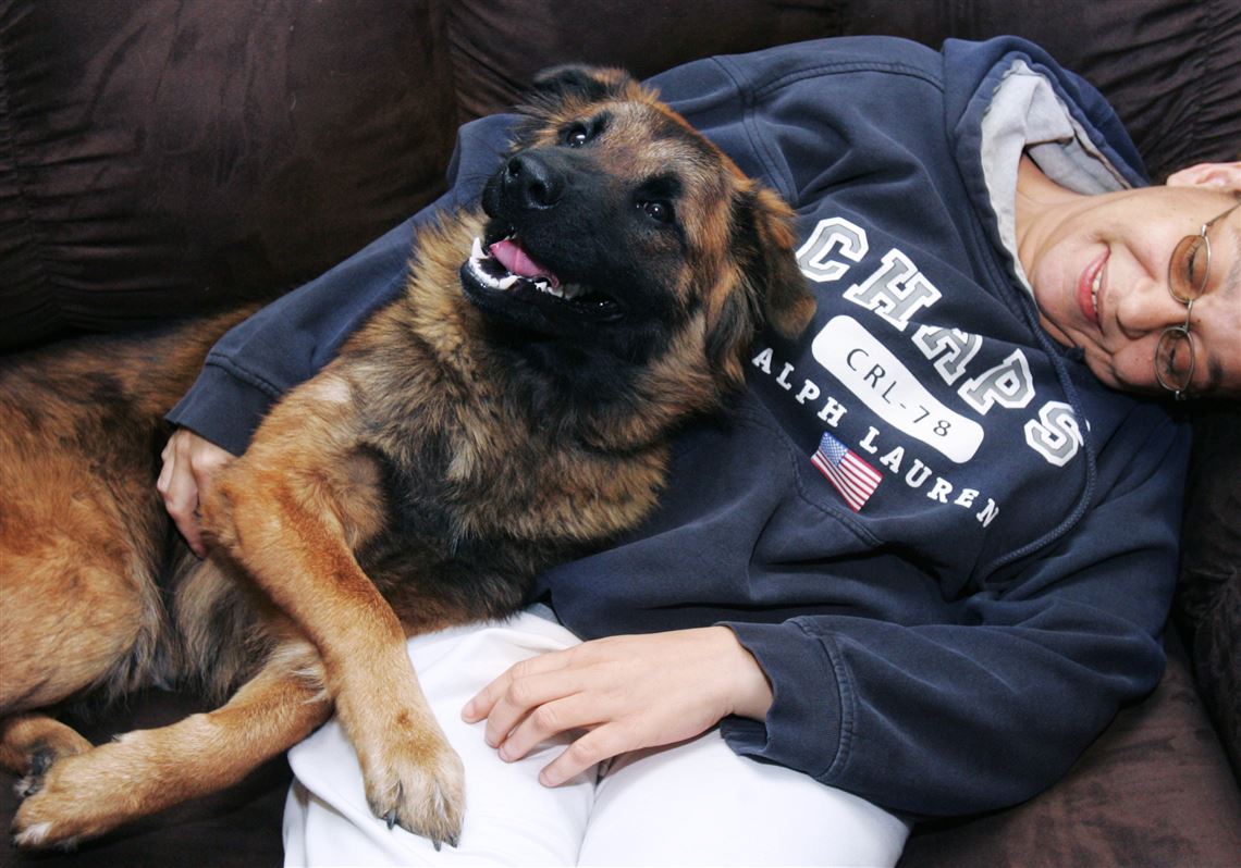 A Healthy Dog Was Put Down