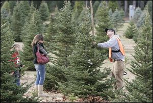 Pat Murtagh measures a tree for Jackie Sweeney and daughter Anika, 8, of Sylvania at the Whitehouse Christmas Tree Farm, where smaller and moderate-sized trees are selling well. 