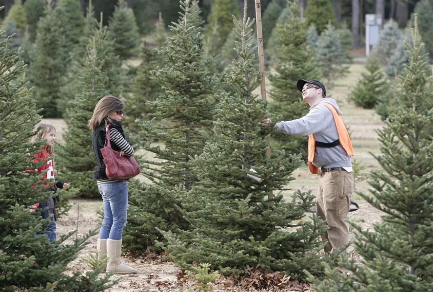 Tough-times-fail-to-put-Christmas-tree-in-shade