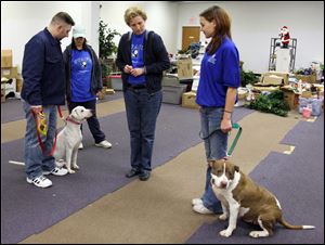 From left, Steve Purcell and Kim Rogaczewski wait while Trina Stillwagon instructs Meghan Eurenius. They are in training for classes expected to start in January.