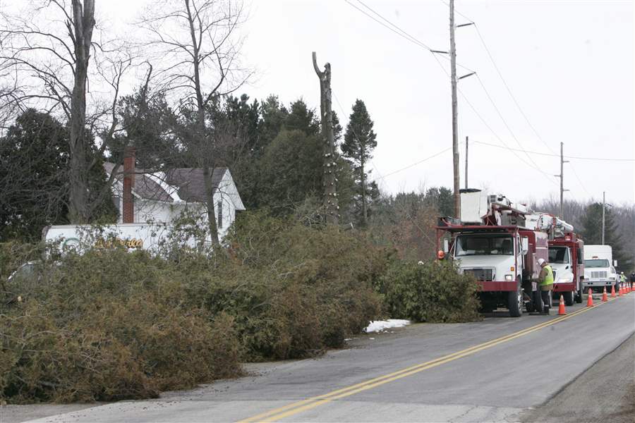 Family-loses-its-battle-to-save-140-evergreens