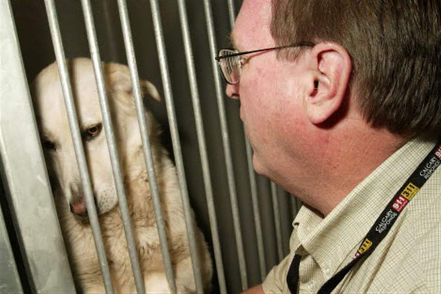 Canadian-city-changes-tack-to-cut-dog-deaths