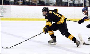 Northview junior Aaron Booth leads the team in scoring with 21 goals and 10 assists. The Wildcats are 20-8-3.