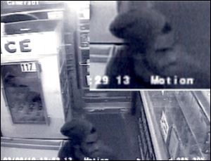Surveillance photo of rapist